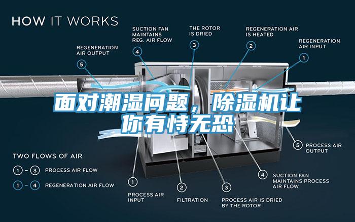面對(duì)潮濕問題，除濕機(jī)讓你有恃無恐