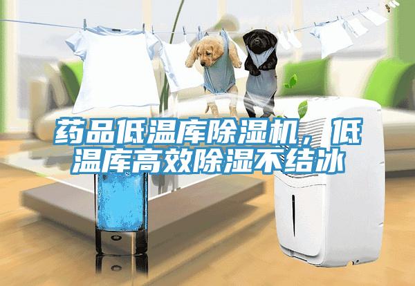 藥品低溫庫除濕機，低溫庫高效除濕不結(jié)冰