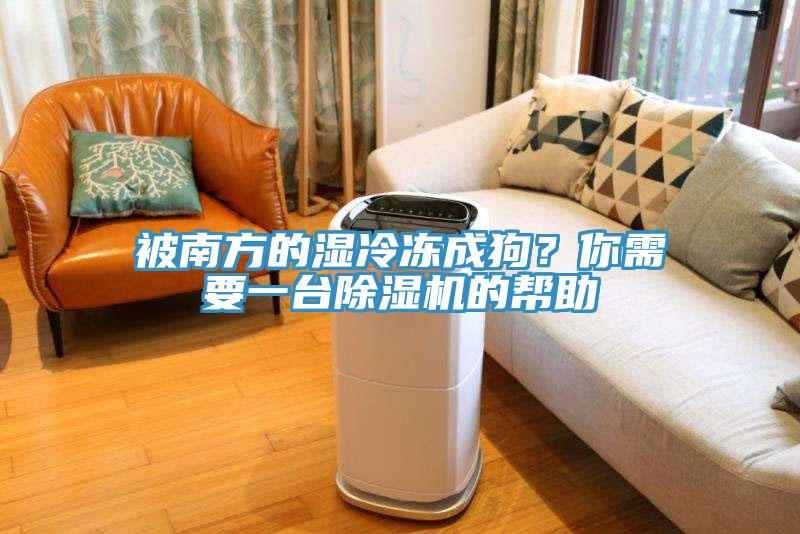 被南方的濕冷凍成狗？你需要一臺除濕機的幫助
