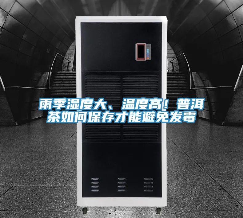 雨季濕度大、溫度高！普洱茶如何保存才能避免發(fā)霉