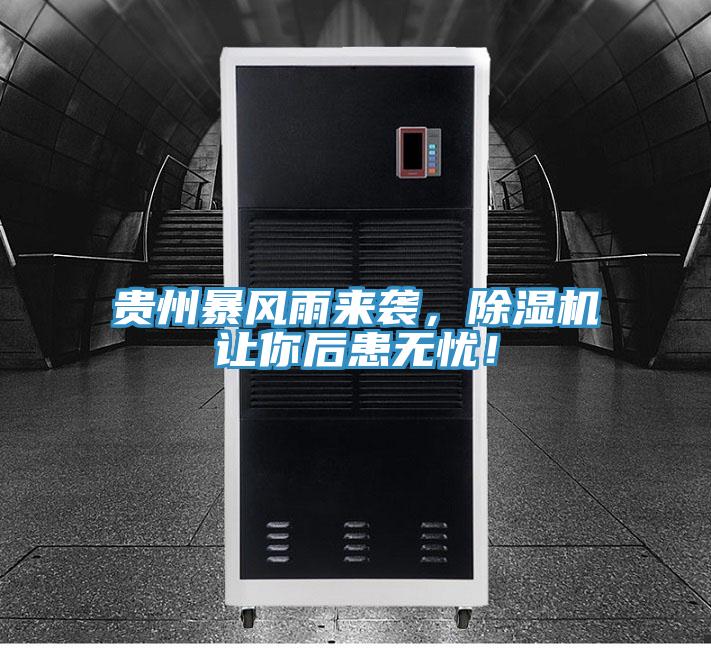 貴州暴風(fēng)雨來(lái)襲，除濕機(jī)讓你后患無(wú)憂！