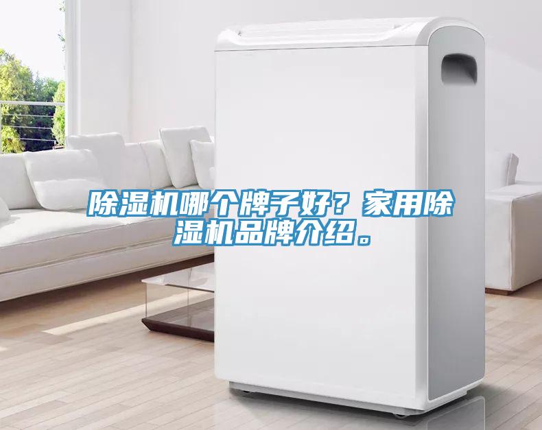 除濕機哪個牌子好？家用除濕機品牌介紹。