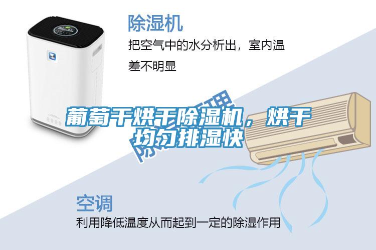 葡萄干烘干除濕機(jī)，烘干均勻排濕快