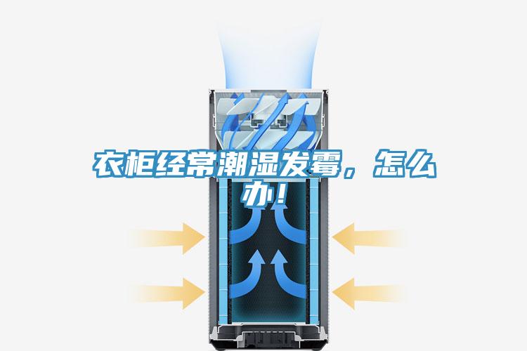 衣柜經(jīng)常潮濕發(fā)霉，怎么辦！