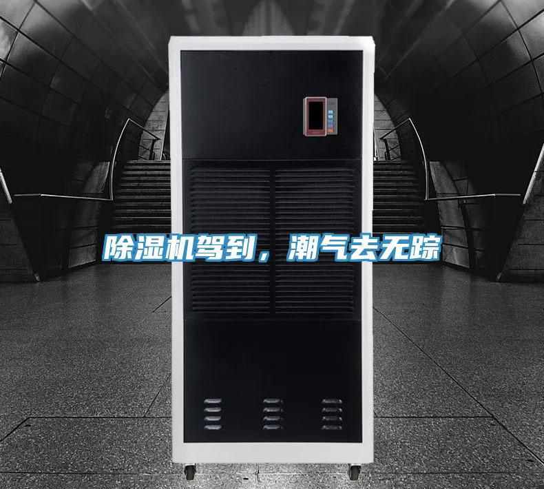 除濕機駕到，潮氣去無蹤