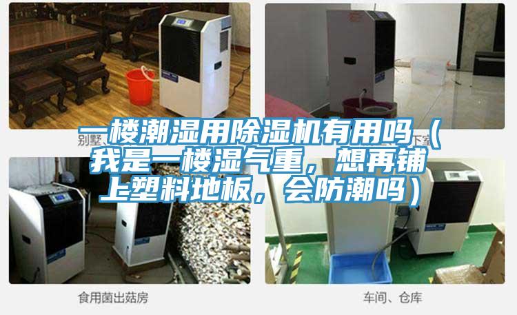 一樓潮濕用除濕機(jī)有用嗎（我是一樓濕氣重，想再鋪上塑料地板，會(huì)防潮嗎）