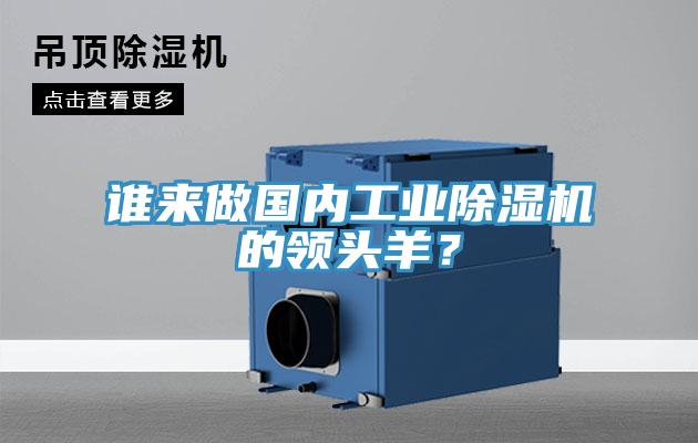 誰來做國內(nèi)工業(yè)除濕機(jī)的領(lǐng)頭羊？