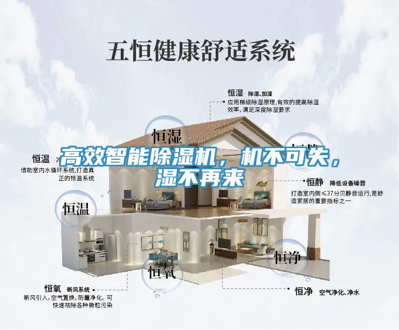 高效智能除濕機(jī)，機(jī)不可失，濕不再來(lái)