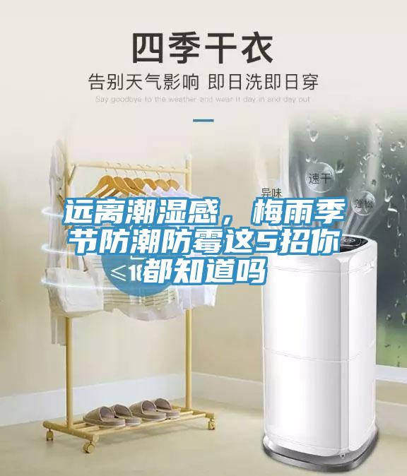 遠離潮濕感，梅雨季節(jié)防潮防霉這5招你都知道嗎