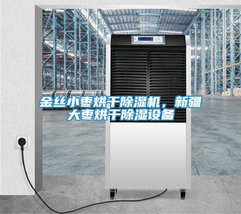 金絲小棗烘干除濕機，新疆大棗烘干除濕設備