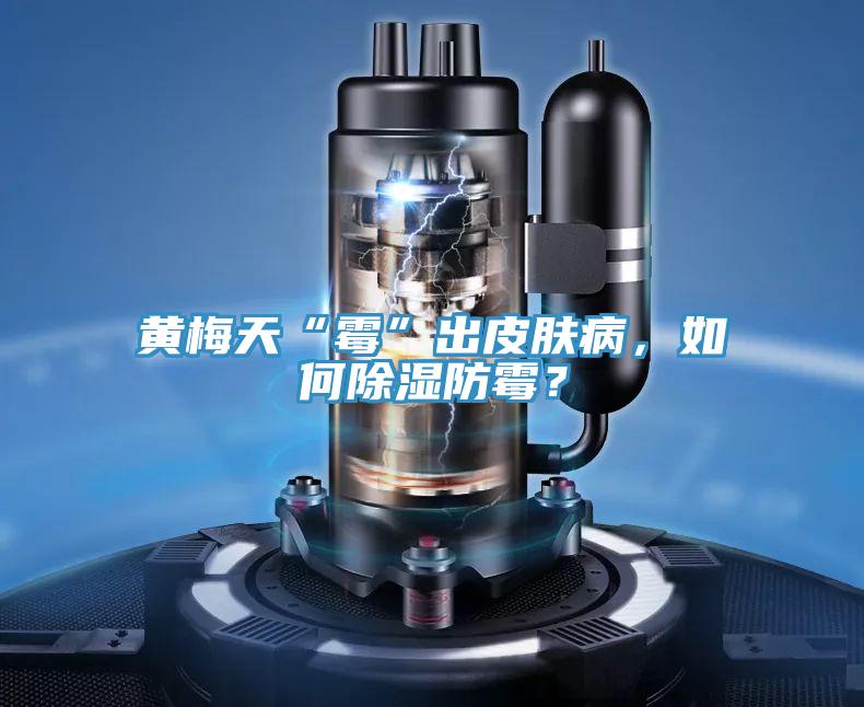 黃梅天“霉”出皮膚病，如何除濕防霉？
