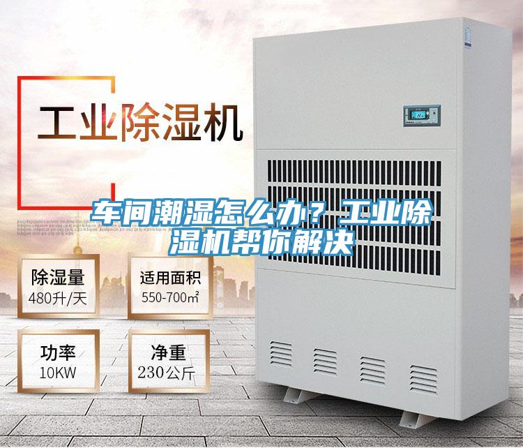 車間潮濕怎么辦？工業(yè)除濕機(jī)幫你解決