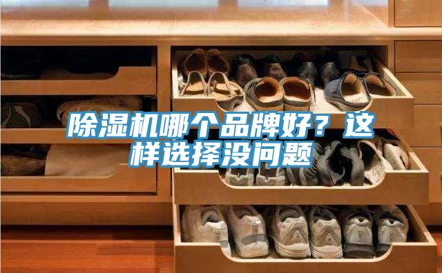 除濕機哪個品牌好？這樣選擇沒問題