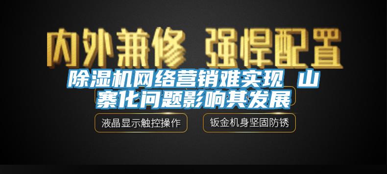 除濕機網絡營銷難實現 山寨化問題影響其發(fā)展
