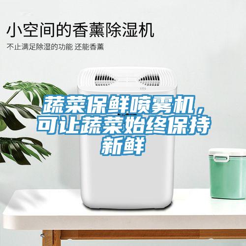 蔬菜保鮮噴霧機(jī)，可讓蔬菜始終保持新鮮