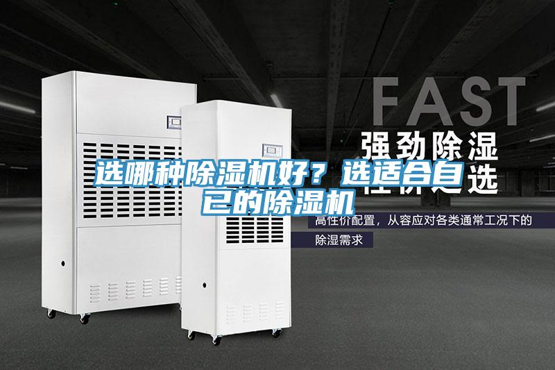 選哪種除濕機好？選適合自已的除濕機