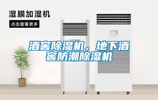 酒窖除濕機(jī)，地下酒窖防潮除濕機(jī)