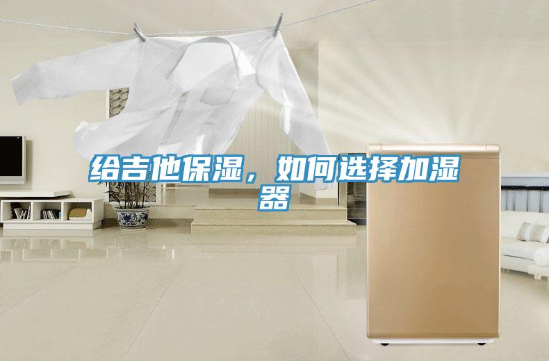 給吉他保濕，如何選擇加濕器