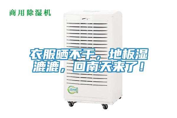 衣服曬不干，地板濕漉漉，回南天來了！