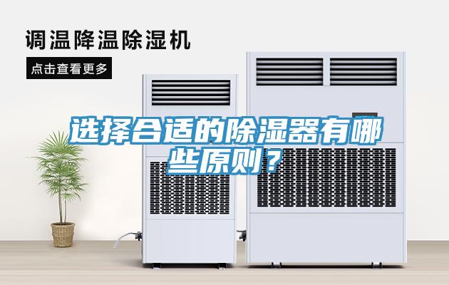 選擇合適的除濕器有哪些原則？
