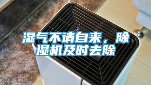 濕氣不請(qǐng)自來(lái)，除濕機(jī)及時(shí)去除