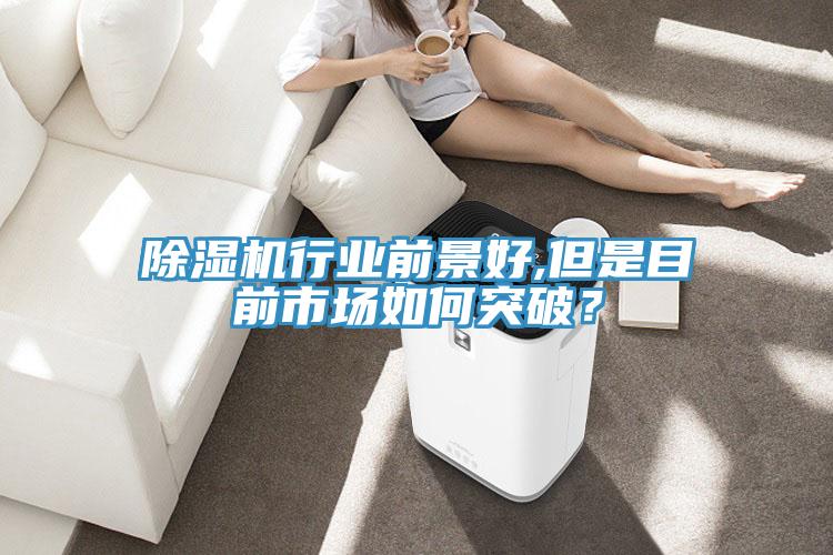 除濕機行業(yè)前景好,但是目前市場如何突破？