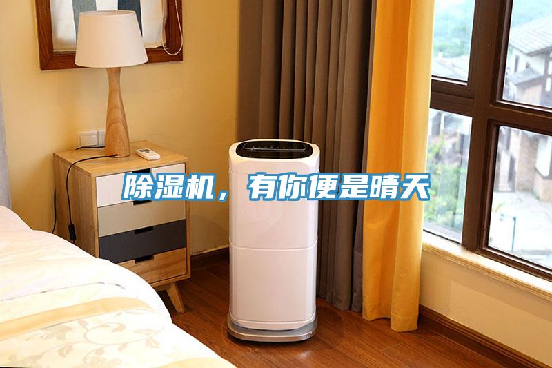 除濕機，有你便是晴天