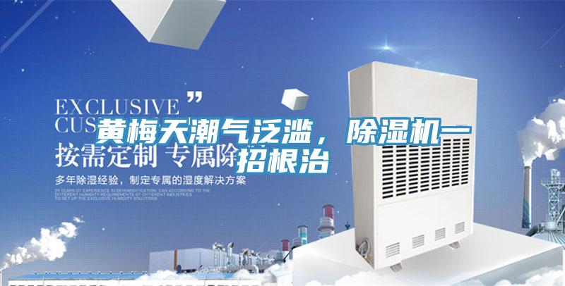 黃梅天潮氣泛濫，除濕機(jī)一招根治