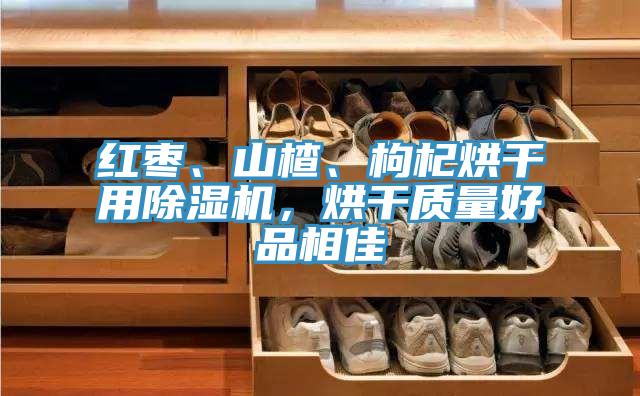 紅棗、山楂、枸杞烘干用除濕機(jī)，烘干質(zhì)量好品相佳