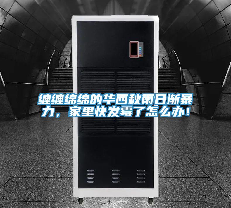 纏纏綿綿的華西秋雨日漸暴力，家里快發(fā)霉了怎么辦！
