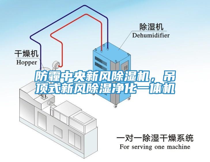 防霾中央新風除濕機，吊頂式新風除濕凈化一體機