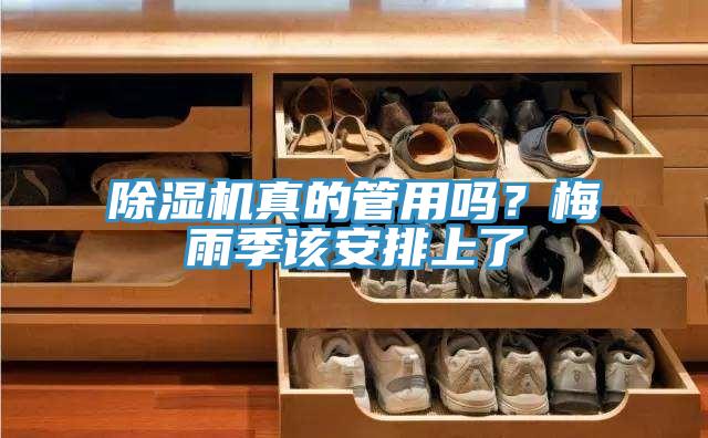 除濕機(jī)真的管用嗎？梅雨季該安排上了