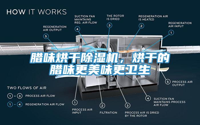 臘味烘干除濕機(jī)，烘干的臘味更美味更衛(wèi)生