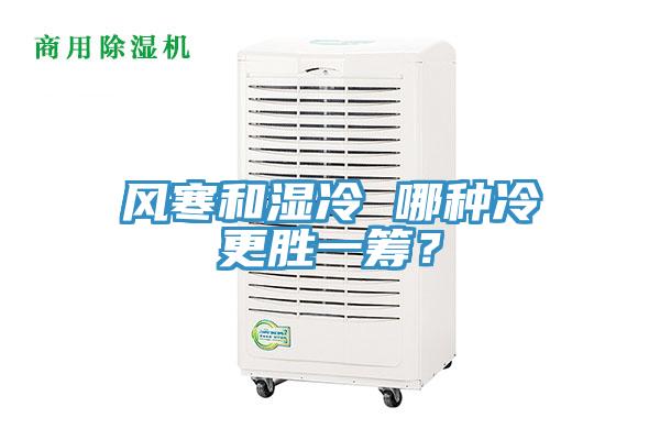 風(fēng)寒和濕冷 哪種冷更勝一籌？