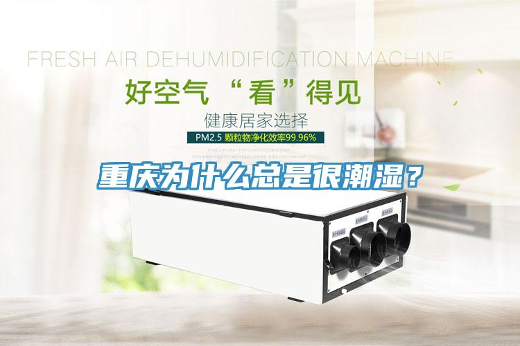 重慶為什么總是很潮濕？