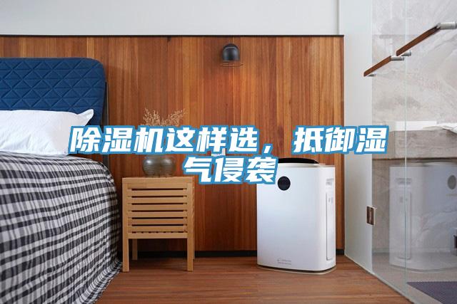 除濕機這樣選，抵御濕氣侵襲