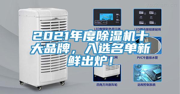 2021年度除濕機十大品牌，入選名單新鮮出爐！