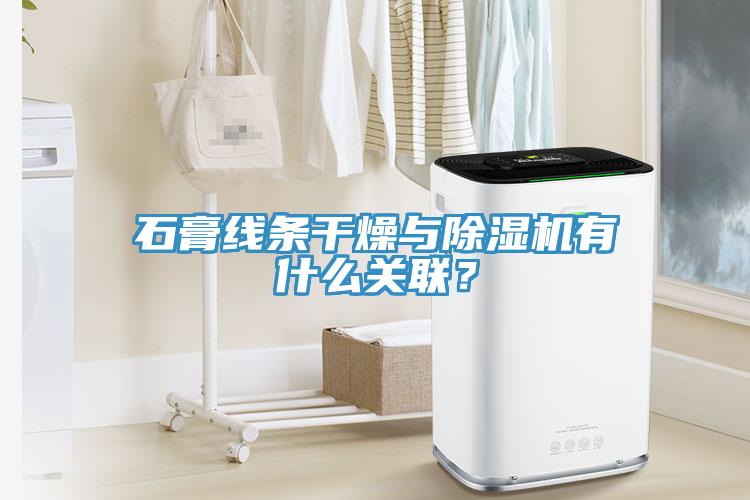 石膏線條干燥與除濕機(jī)有什么關(guān)聯(lián)？