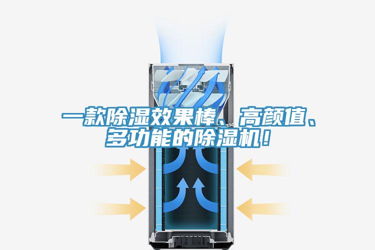 一款除濕效果棒、高顏值、多功能的除濕機(jī)！