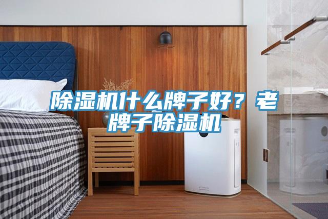 除濕機(jī)什么牌子好？老牌子除濕機(jī)