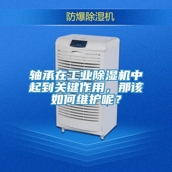 軸承在工業(yè)除濕機中起到關(guān)鍵作用，那該如何維護呢？