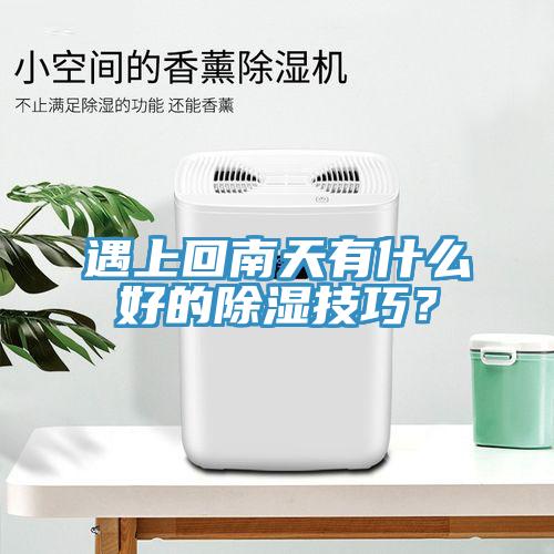 遇上回南天有什么好的除濕技巧？
