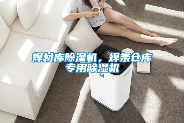 焊材庫除濕機，焊條倉庫專用除濕機
