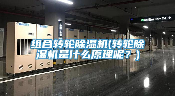 組合轉輪除濕機(轉輪除濕機是什么原理呢？)