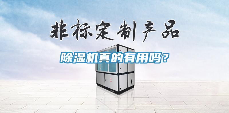 除濕機(jī)真的有用嗎？