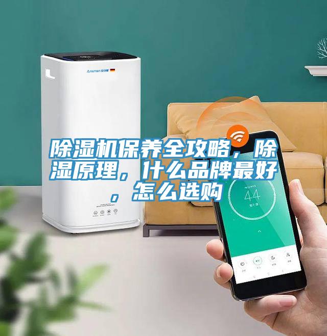 除濕機保養(yǎng)全攻略，除濕原理，什么品牌最好，怎么選購