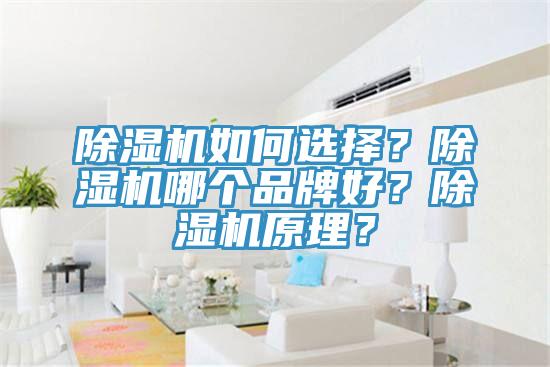 除濕機(jī)如何選擇？除濕機(jī)哪個品牌好？除濕機(jī)原理？