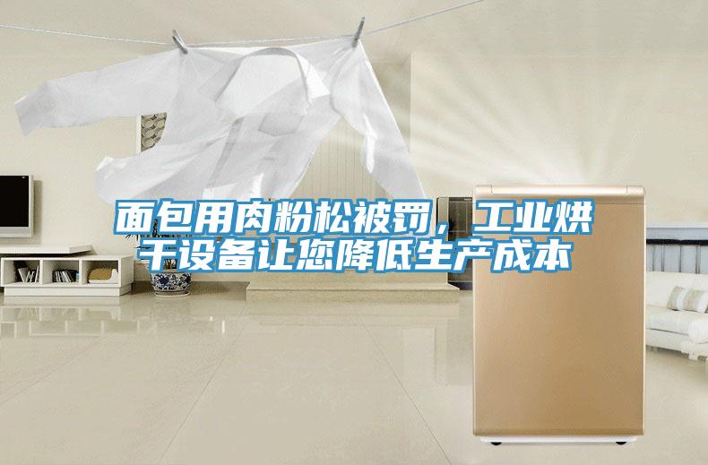 面包用肉粉松被罰，工業(yè)烘干設(shè)備讓您降低生產(chǎn)成本