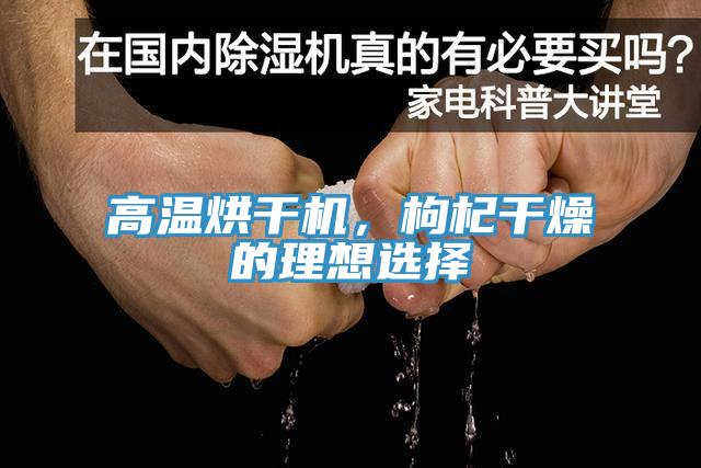 高溫烘干機，枸杞干燥的理想選擇