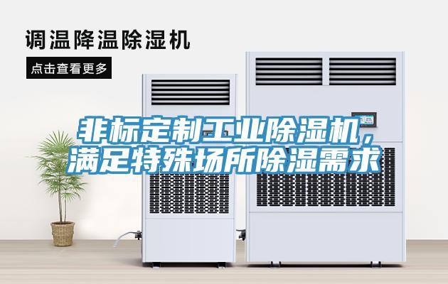非標定制工業(yè)除濕機，滿足特殊場所除濕需求